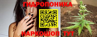 СК Краснокаменск
