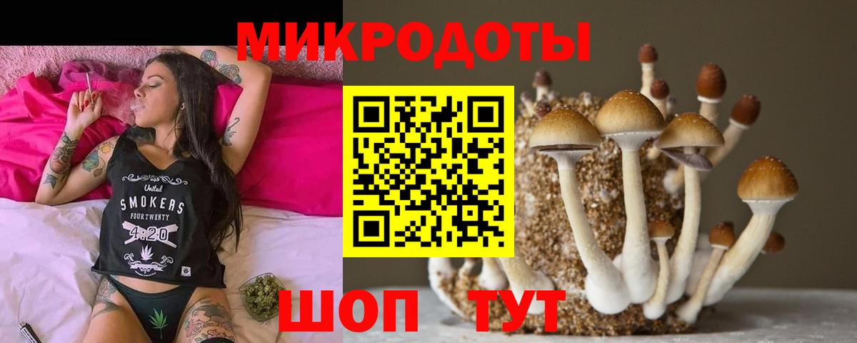 Алейск  Псилоцибиновые грибы Psilocybine cubensis  Вход с VPN 